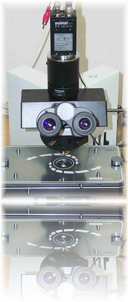 Microscope